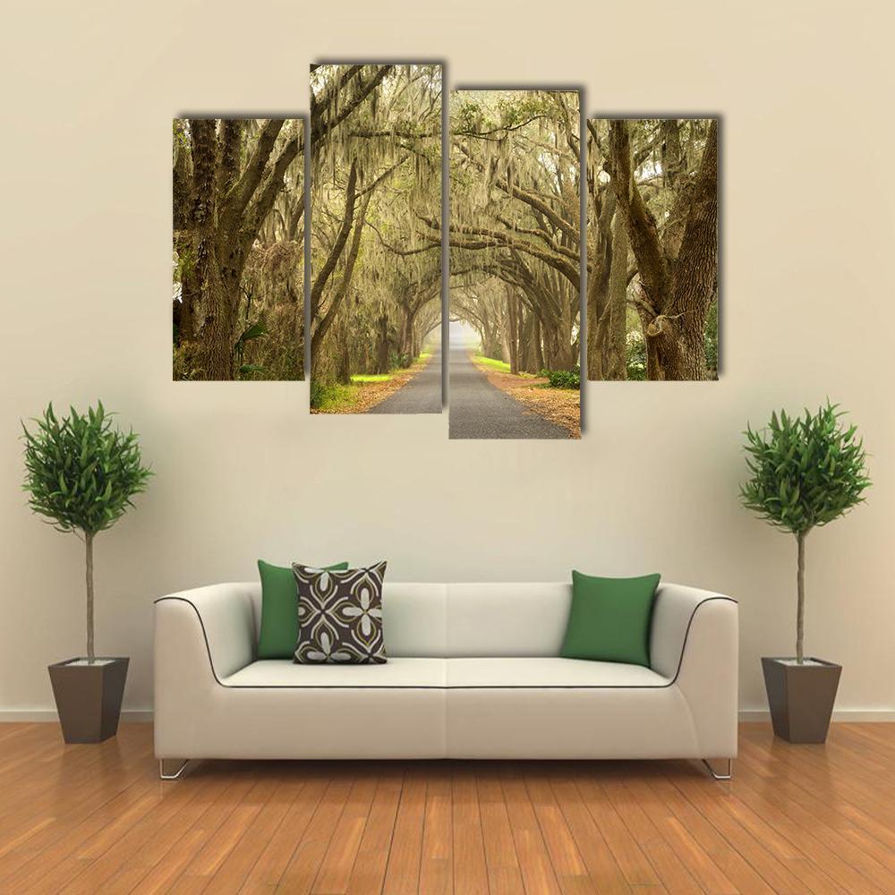 Lines Of Oak Trees Canvas Wall Art-4 Pop-Gallery Wrap-34" x 20"-Tiaracle