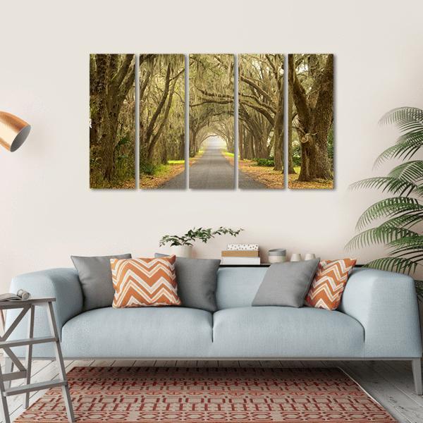 Lines Of Oak Trees Canvas Wall Art-5 Horizontal-Gallery Wrap-22" x 12"-Tiaracle