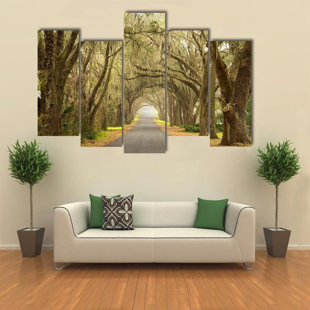 Lines Of Oak Trees Canvas Wall Art-5 Pop-Gallery Wrap-32" x 21"-Tiaracle