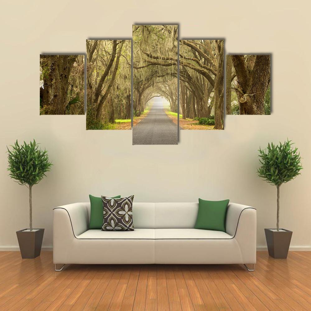 Lines Of Oak Trees Canvas Wall Art-5 Star-Gallery Wrap-42" x 21"-Tiaracle