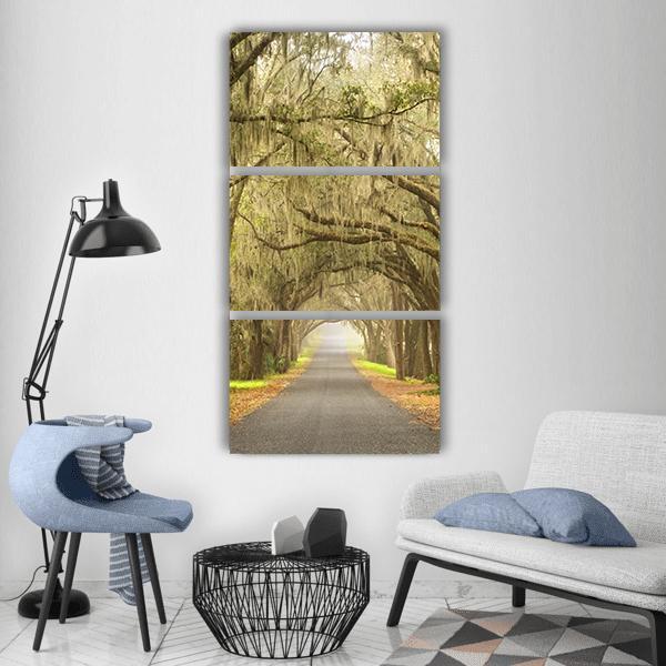 Lines Of Oak Trees Vertical Canvas Wall Art-3 Vertical-Gallery Wrap-12" x 25"-Tiaracle