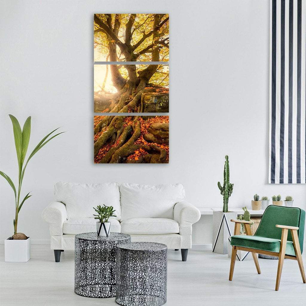 Old Tree In Autumn Vertical Canvas Wall Art-3 Vertical-Gallery Wrap-12" x 25"-Tiaracle
