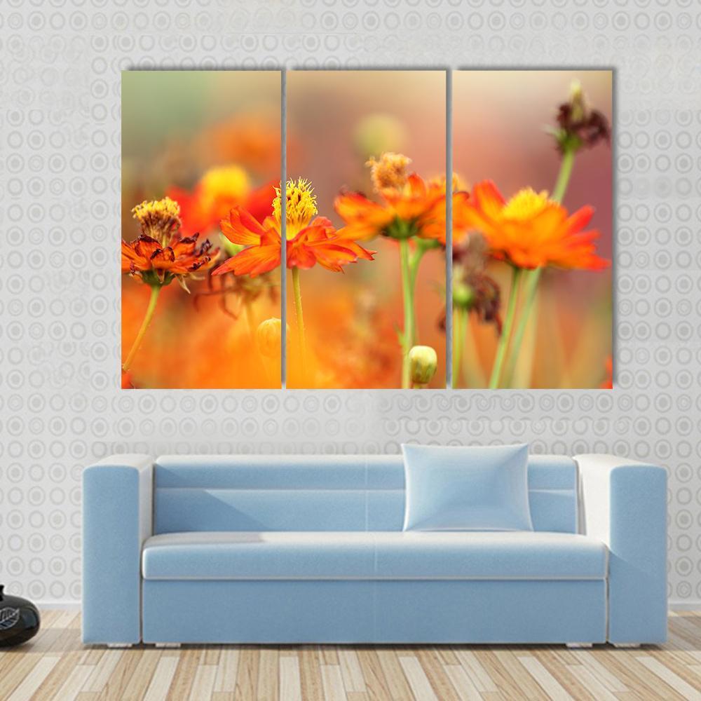 Orange Cosmos Flower Canvas Wall Art-3 Horizontal-Gallery Wrap-37" x 24"-Tiaracle