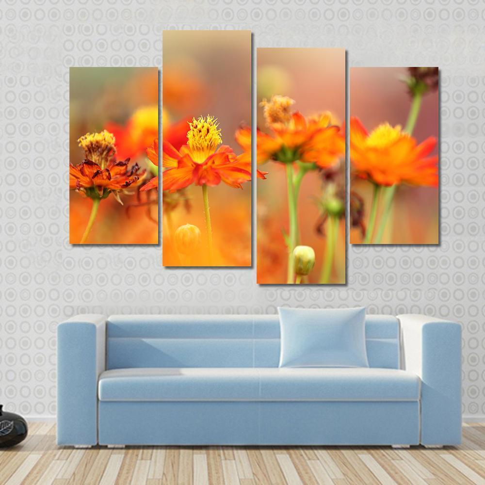Orange Cosmos Flower Canvas Wall Art-4 Pop-Gallery Wrap-50" x 32"-Tiaracle