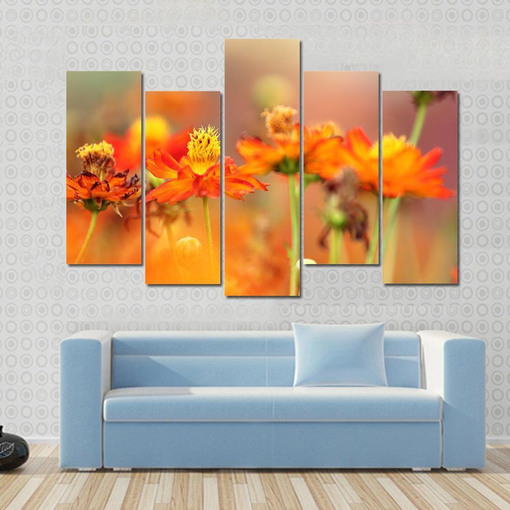 Orange Cosmos Flower Canvas Wall Art-5 Pop-Gallery Wrap-47" x 32"-Tiaracle