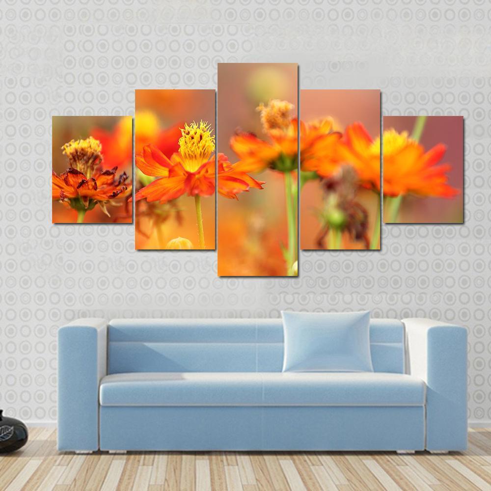 Orange Cosmos Flower Canvas Wall Art-5 Star-Gallery Wrap-62" x 32"-Tiaracle