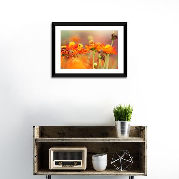 Orange Cosmos Flower Canvas Wall Art-3 Horizontal-Gallery Wrap-25" x 16"-Tiaracle