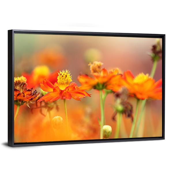 Orange Cosmos Flower Canvas Wall Art-3 Horizontal-Gallery Wrap-25" x 16"-Tiaracle