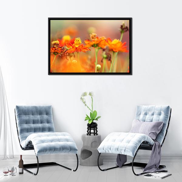 Orange Cosmos Flower Canvas Wall Art-1 Piece-Floating Frame-24" x 16"-Tiaracle