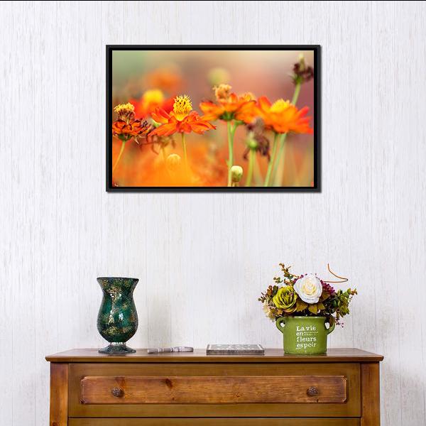 Orange Cosmos Flower Canvas Wall Art-3 Horizontal-Gallery Wrap-25" x 16"-Tiaracle