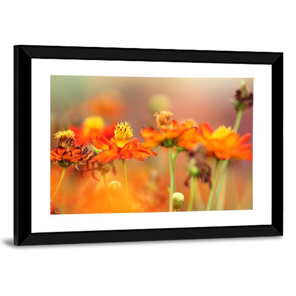 Orange Cosmos Flower Canvas Wall Art-3 Horizontal-Gallery Wrap-25" x 16"-Tiaracle