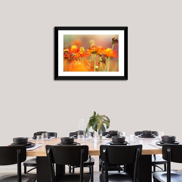 Orange Cosmos Flower Canvas Wall Art-1 Piece-Framed Print-20" x 16"-Tiaracle