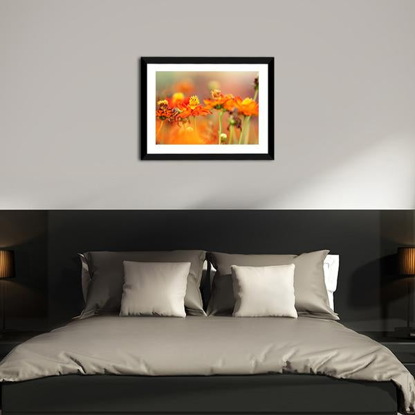 Orange Cosmos Flower Canvas Wall Art-3 Horizontal-Gallery Wrap-25" x 16"-Tiaracle