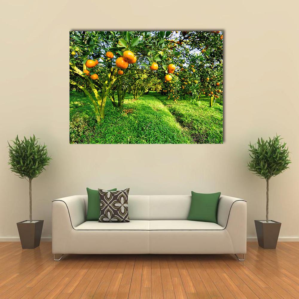 Orange Tree Canvas Wall Art-4 Pop-Gallery Wrap-34" x 20"-Tiaracle