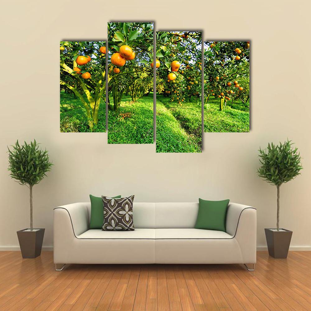 Orange Tree Canvas Wall Art-4 Pop-Gallery Wrap-34" x 20"-Tiaracle