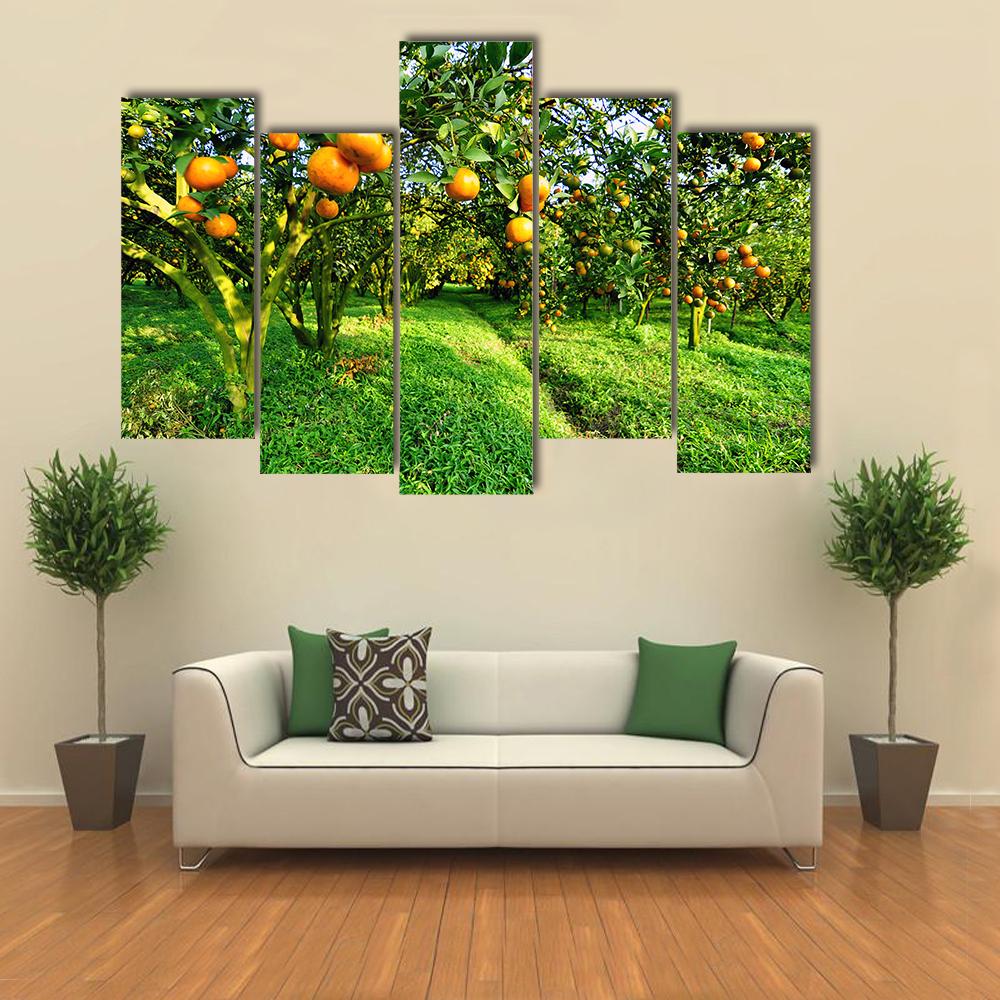 Orange Tree Canvas Wall Art-5 Pop-Gallery Wrap-32" x 21"-Tiaracle