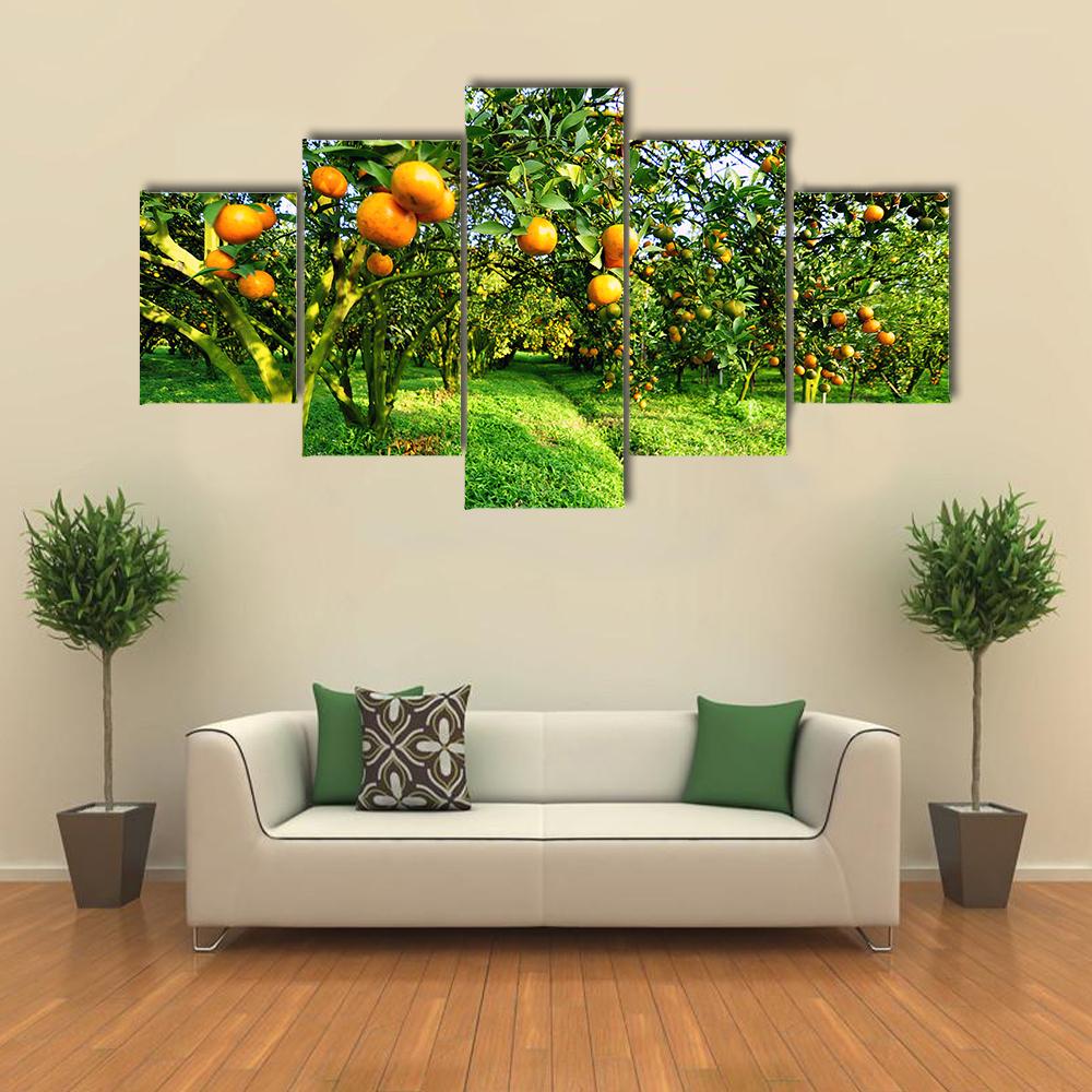 Orange Tree Canvas Wall Art-5 Star-Gallery Wrap-42" x 21"-Tiaracle