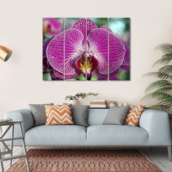 Orchid Flower Canvas Wall Art-4 Horizontal-Gallery Wrap-34" x 24"-Tiaracle