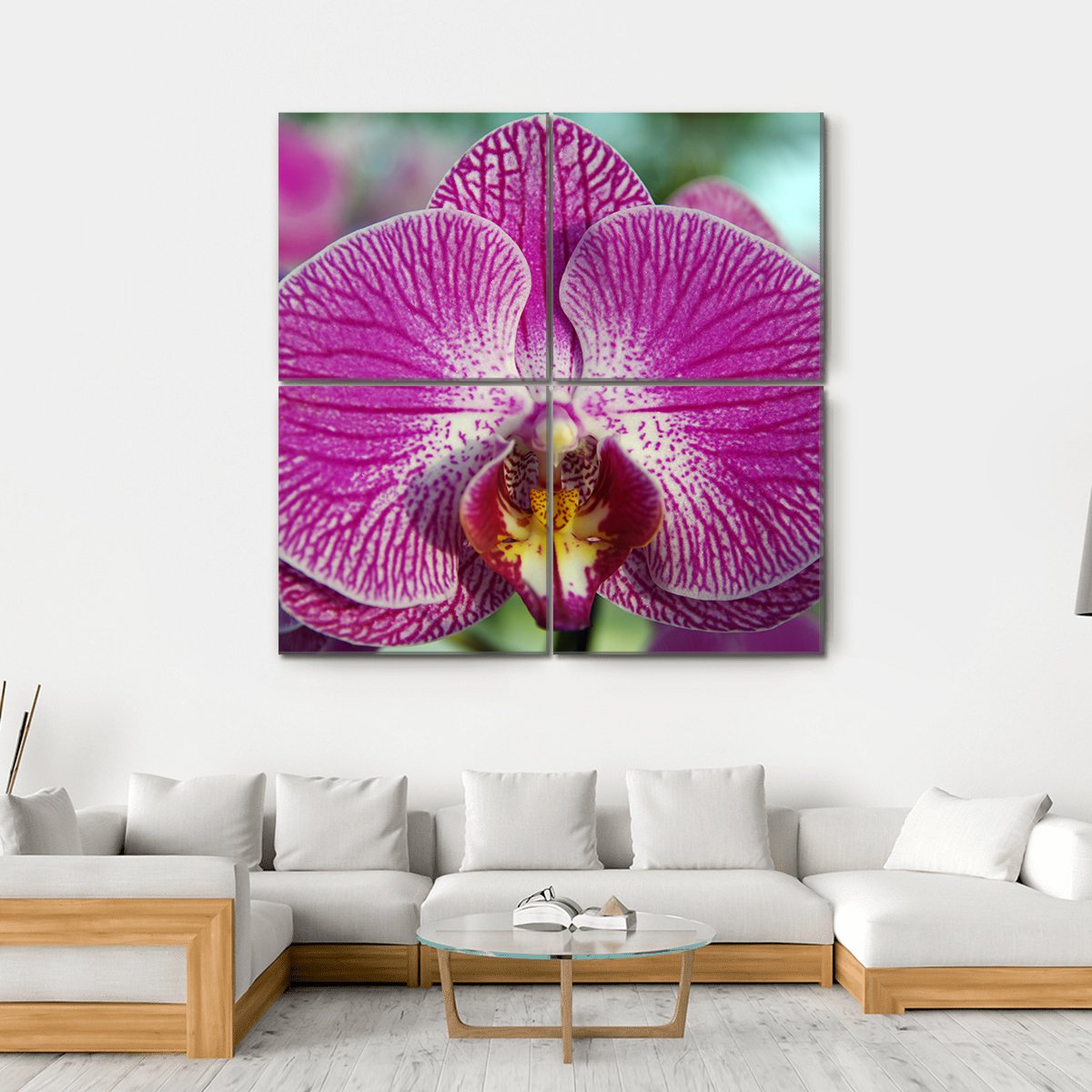 Orchid Flower Canvas Wall Art-4 Square-Gallery Wrap-17" x 17"-Tiaracle