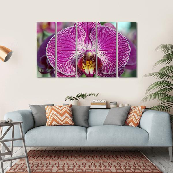 Orchid Flower Canvas Wall Art-5 Horizontal-Gallery Wrap-22" x 12"-Tiaracle