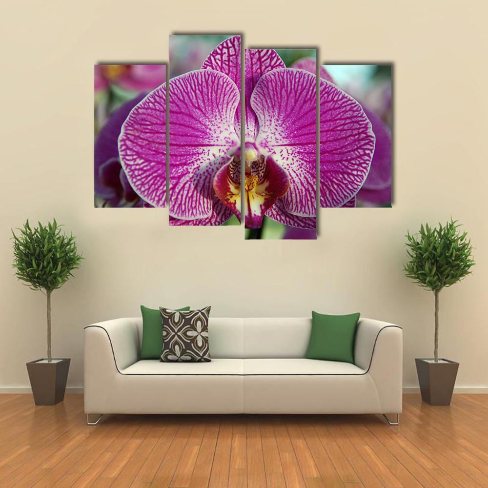 Orchid Flower Canvas Wall Art-4 Pop-Gallery Wrap-50" x 32"-Tiaracle