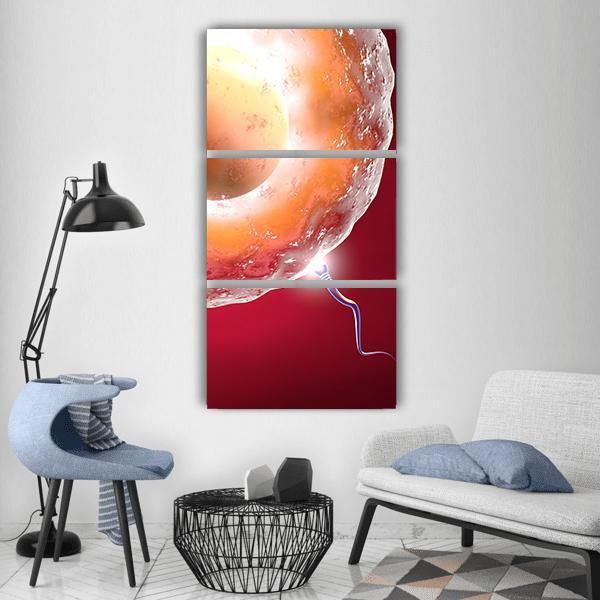 Ovum And Sperm Vertical Canvas Wall Art-3 Vertical-Gallery Wrap-12" x 25"-Tiaracle