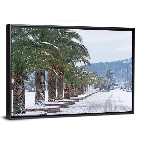Palm Trees Covered With Snow Canvas Wall Art-3 Horizontal-Gallery Wrap-25" x 16"-Tiaracle