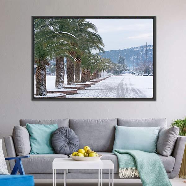 Palm Trees Covered With Snow Canvas Wall Art-3 Horizontal-Gallery Wrap-25" x 16"-Tiaracle