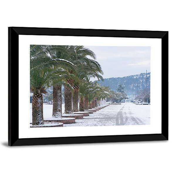 Palm Trees Covered With Snow Canvas Wall Art-3 Horizontal-Gallery Wrap-25" x 16"-Tiaracle