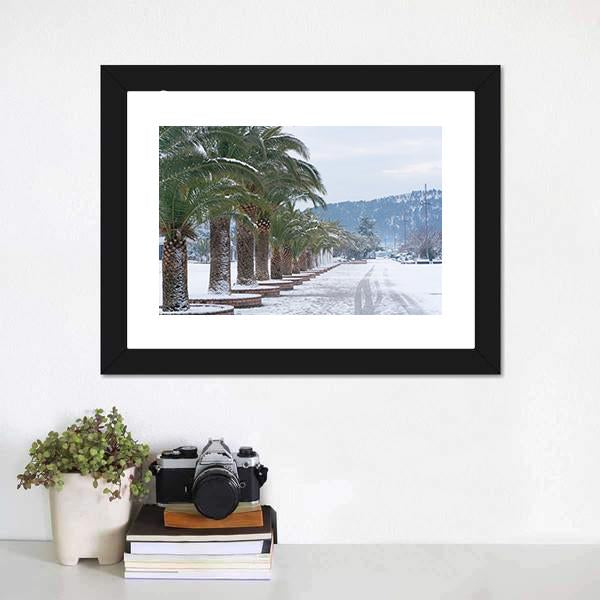Palm Trees Covered With Snow Canvas Wall Art-1 Piece-Framed Print-20" x 16"-Tiaracle