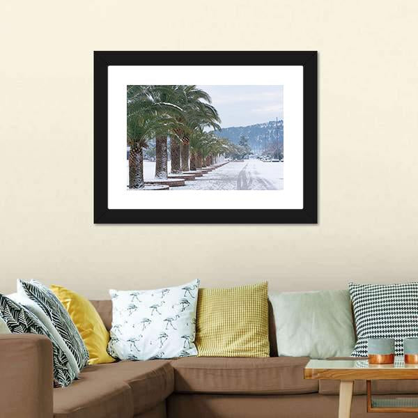 Palm Trees Covered With Snow Canvas Wall Art-3 Horizontal-Gallery Wrap-25" x 16"-Tiaracle