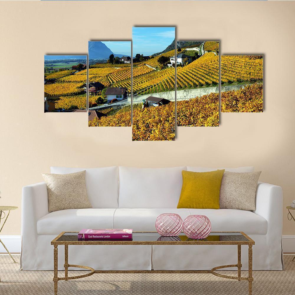Panorama Of Autumn Vineyards Canvas Wall Art-5 Star-Gallery Wrap-62" x 32"-Tiaracle
