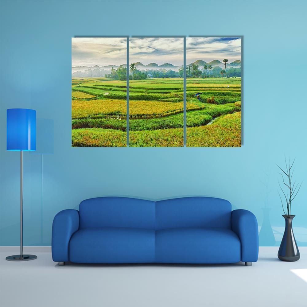 The Paddy Rice Field Canvas Wall Art-3 Horizontal-Gallery Wrap-37" x 24"-Tiaracle