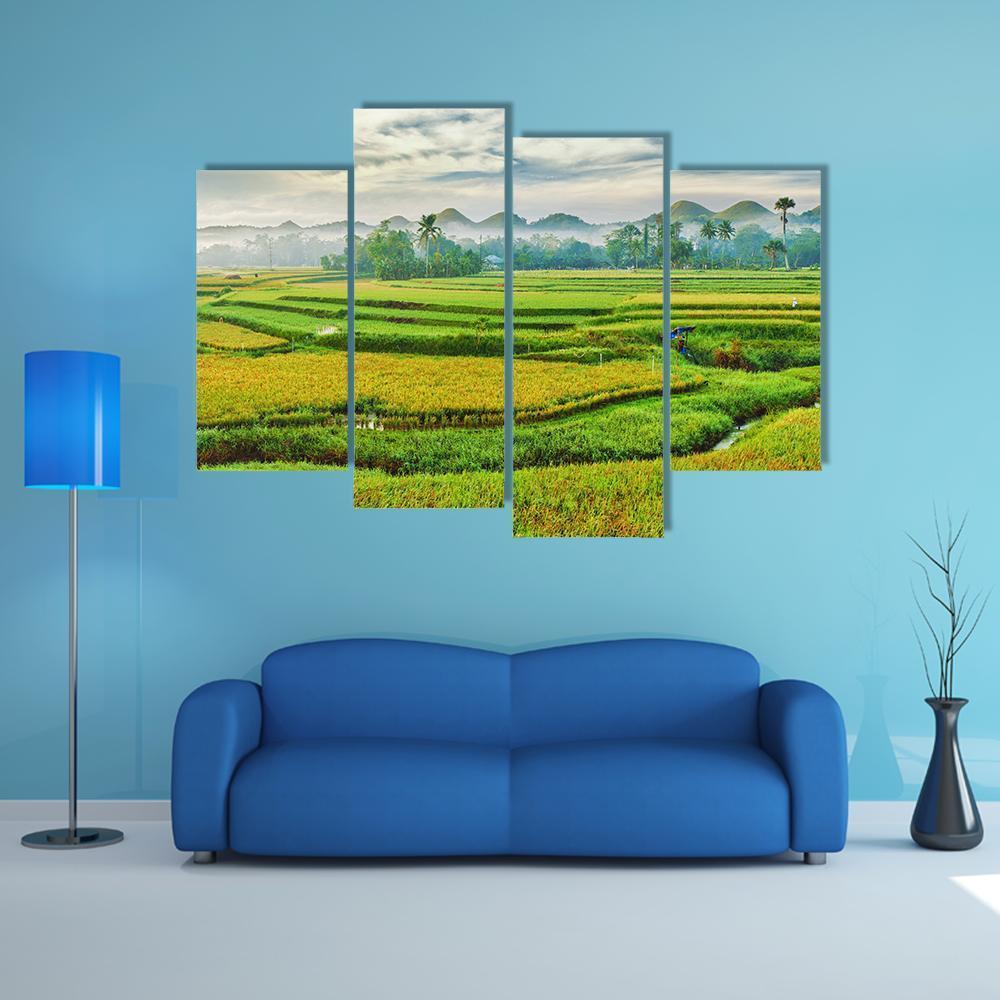 The Paddy Rice Field Canvas Wall Art-4 Pop-Gallery Wrap-50" x 32"-Tiaracle