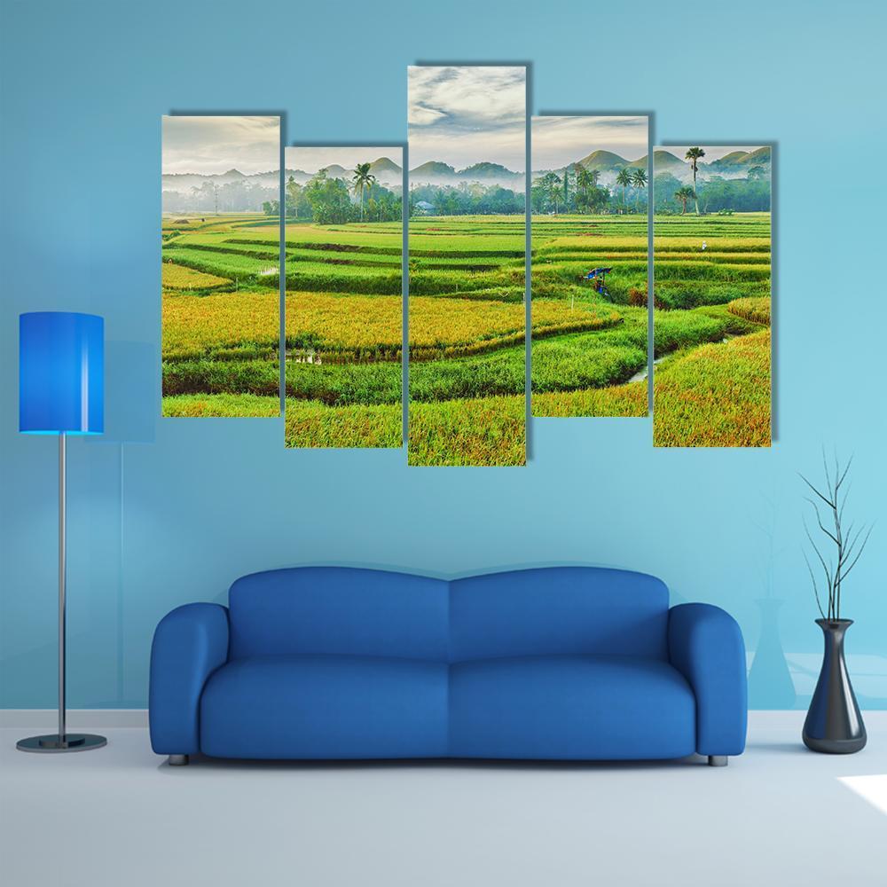 The Paddy Rice Field Canvas Wall Art-5 Pop-Gallery Wrap-47" x 32"-Tiaracle