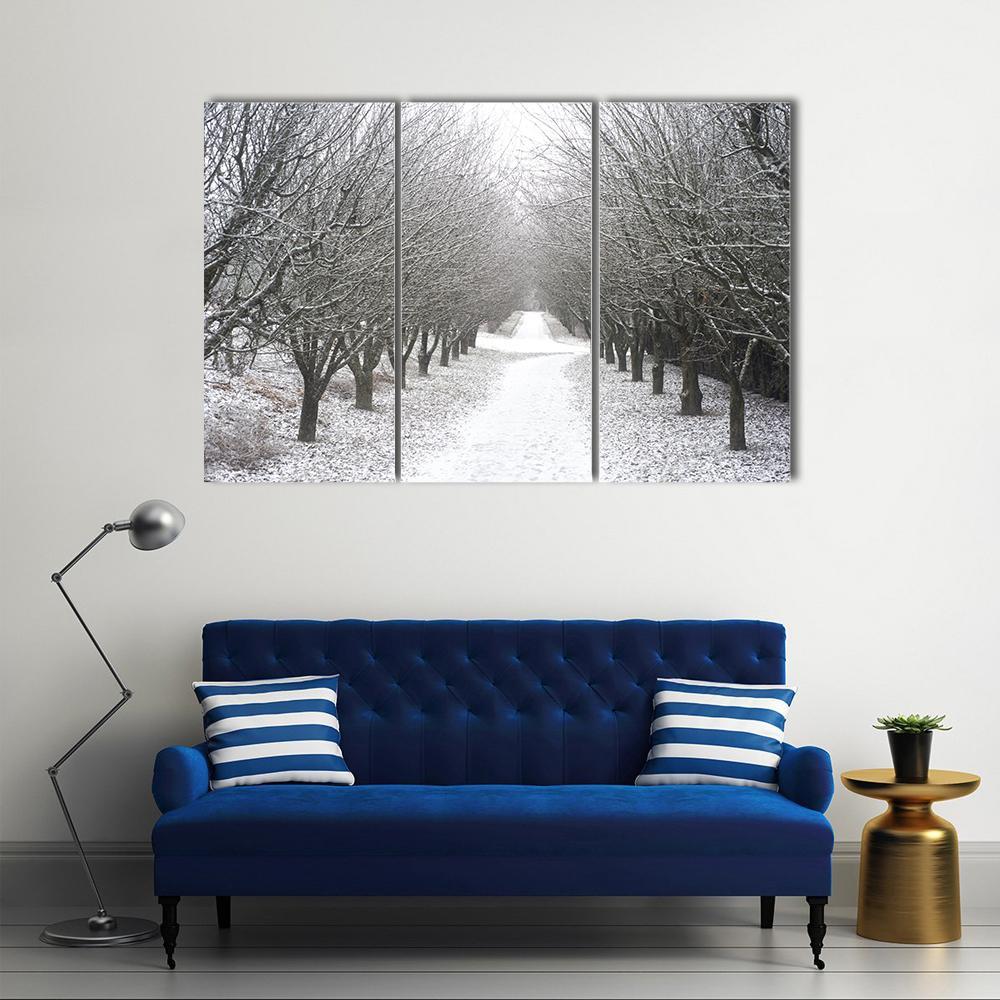 Park Covered By Snow Canvas Wall Art-3 Horizontal-Gallery Wrap-37" x 24"-Tiaracle
