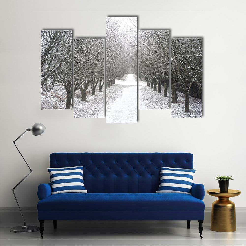 Park Covered By Snow Canvas Wall Art-5 Pop-Gallery Wrap-47" x 32"-Tiaracle