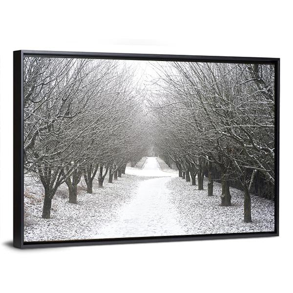 Park Covered By Snow Canvas Wall Art-3 Horizontal-Gallery Wrap-25" x 16"-Tiaracle