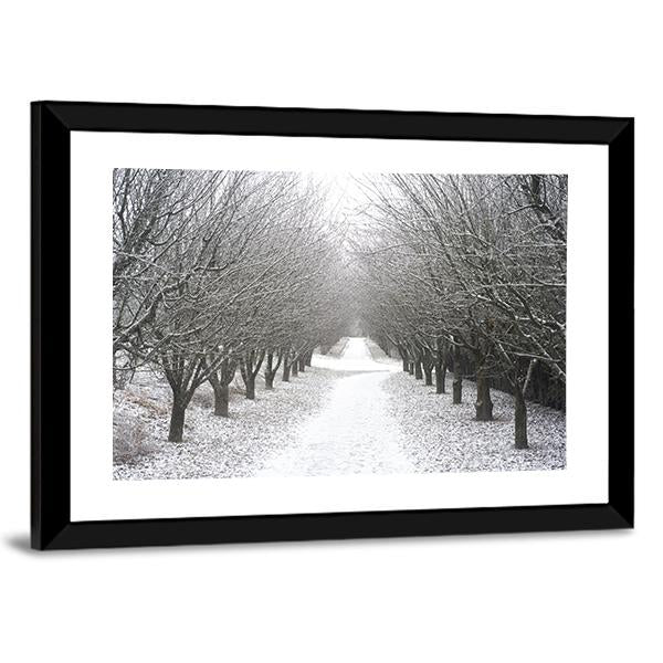 Park Covered By Snow Canvas Wall Art-3 Horizontal-Gallery Wrap-25" x 16"-Tiaracle