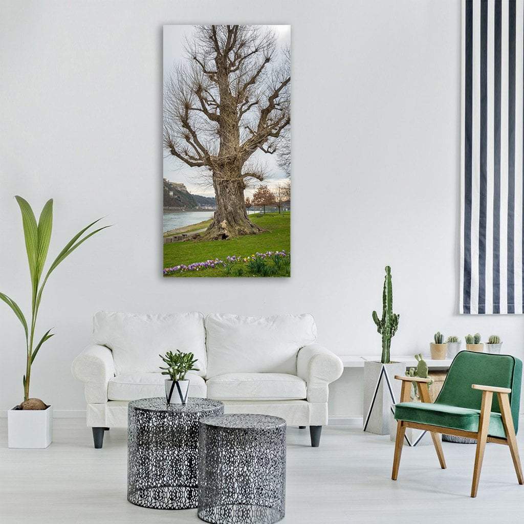 Park In Rhine Koblenz Germany Vertical Canvas Wall Art-3 Vertical-Gallery Wrap-12" x 25"-Tiaracle