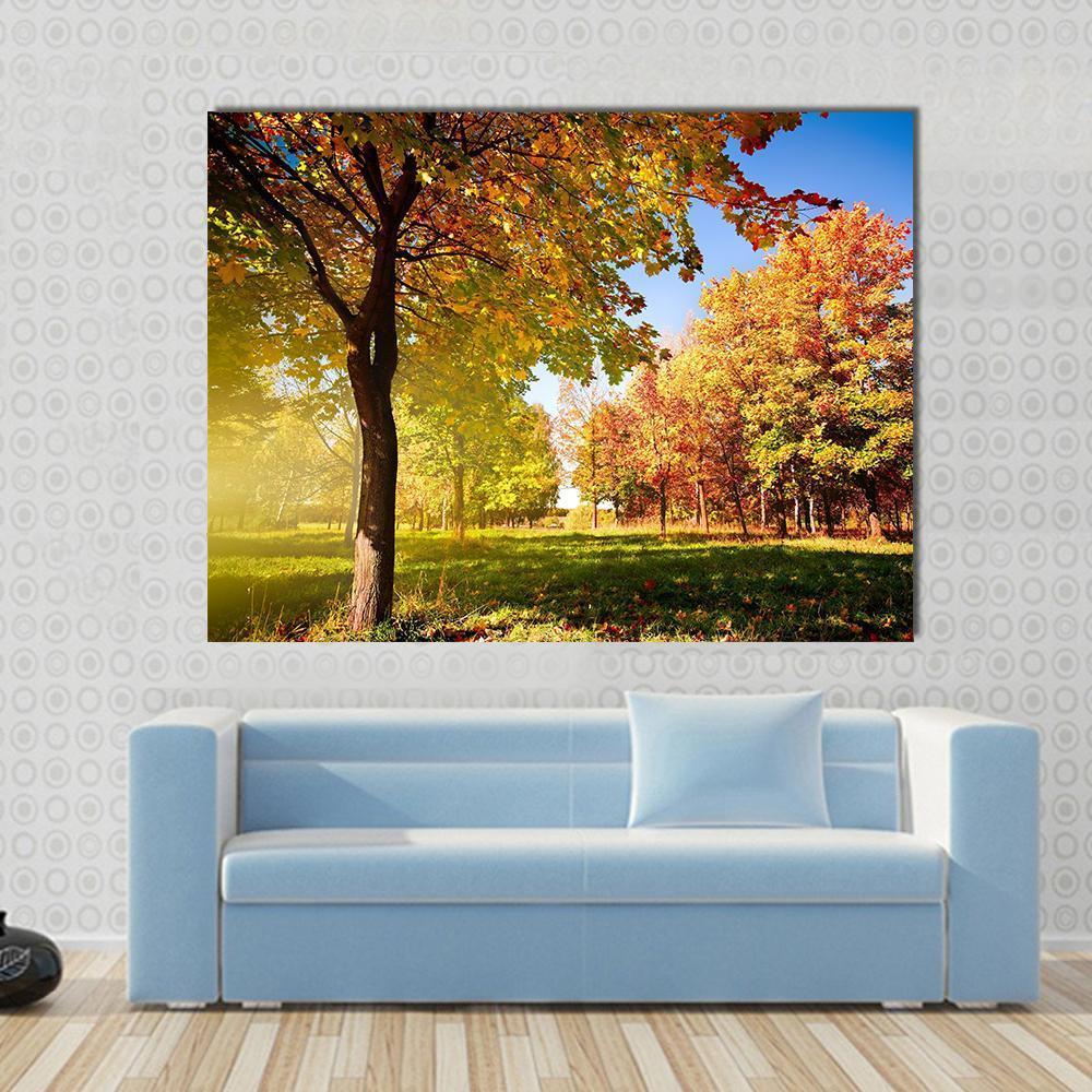 Park View in Autumn Canvas Wall Art in orange, yellow and green, single panel hung on a wall