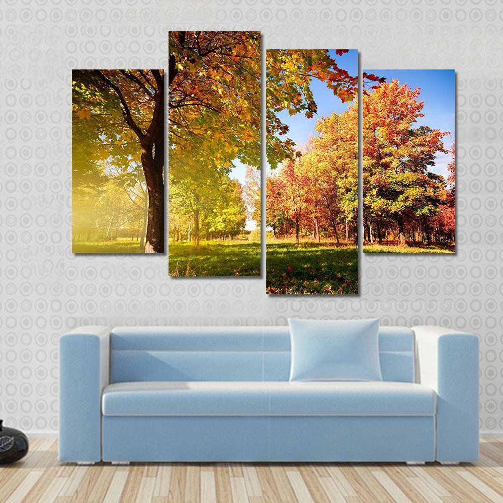 Park View In Autumn Canvas Wall Art-4 Pop-Gallery Wrap-50" x 32"-Tiaracle
