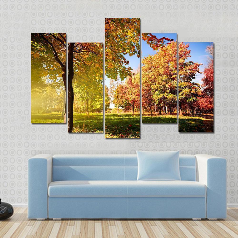 Park View In Autumn Canvas Wall Art-5 Pop-Gallery Wrap-47" x 32"-Tiaracle