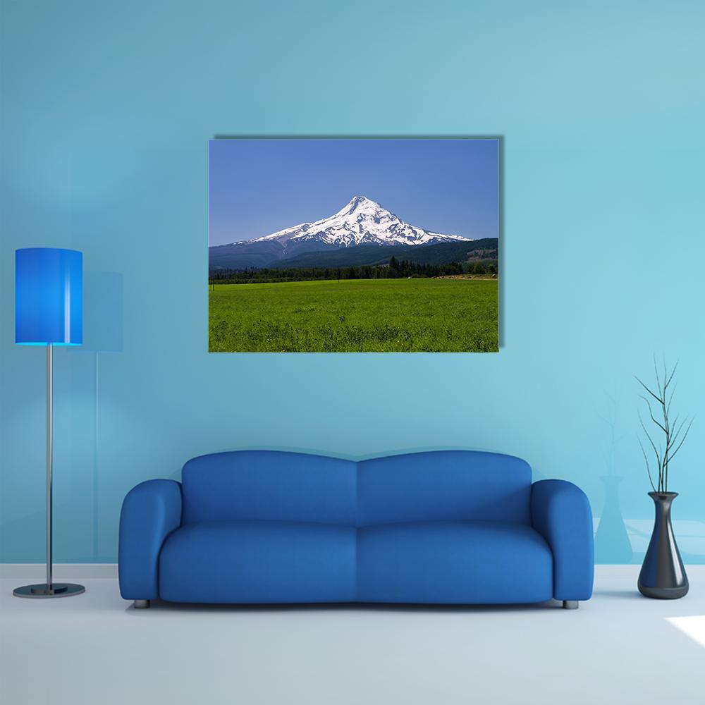 Pasture with View of Mt Hood Canvas Wall Art in white, green and blue, single panel hung on a wall