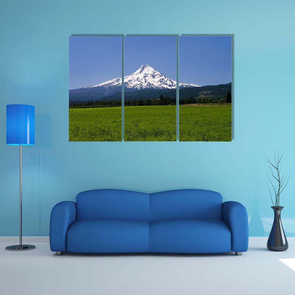 Pasture With View Of Mt Hood Canvas Wall Art-3 Horizontal-Gallery Wrap-37" x 24"-Tiaracle
