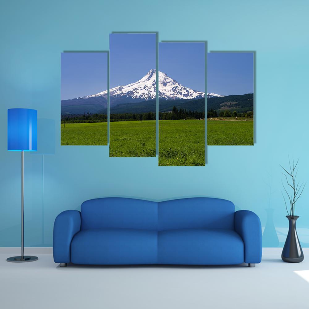 Pasture With View Of Mt Hood Canvas Wall Art-4 Pop-Gallery Wrap-50" x 32"-Tiaracle