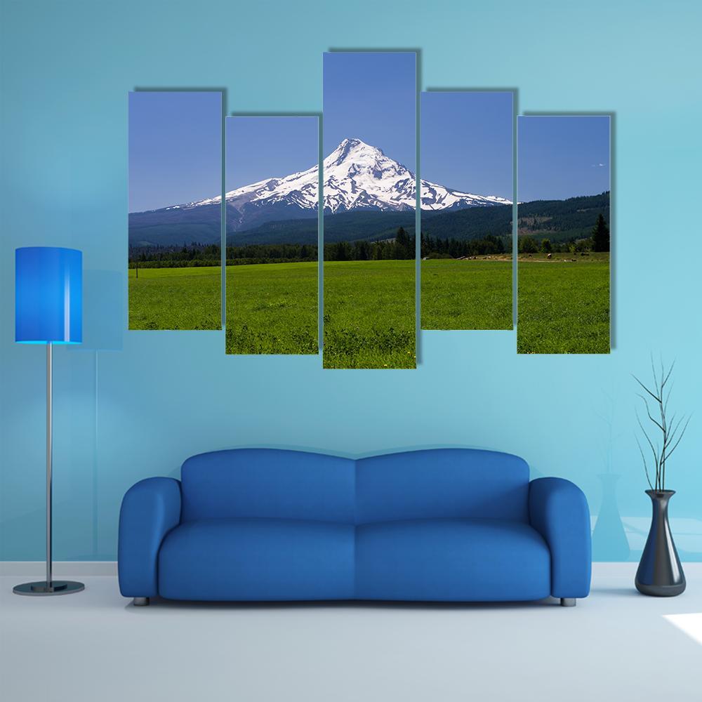Pasture With View Of Mt Hood Canvas Wall Art-5 Pop-Gallery Wrap-47" x 32"-Tiaracle