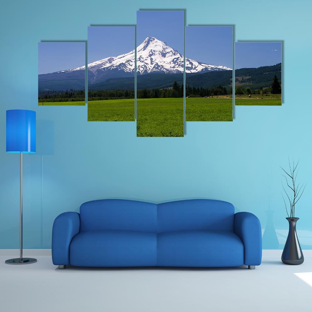 Pasture With View Of Mt Hood Canvas Wall Art-4 Pop-Gallery Wrap-50" x 32"-Tiaracle