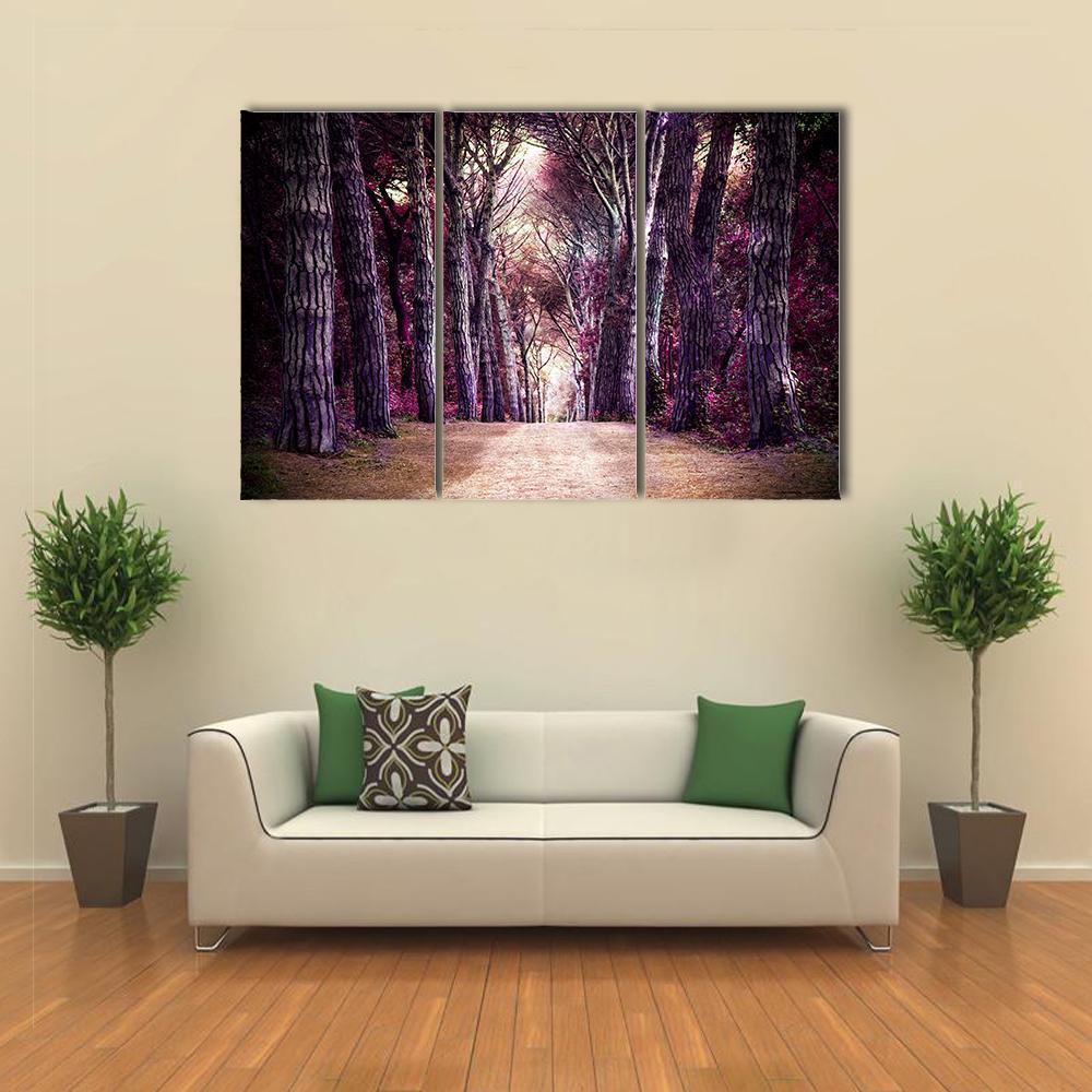 Path In Forest Somewhere In Magic Wood Canvas Wall Art-3 Horizontal-Gallery Wrap-37" x 24"-Tiaracle