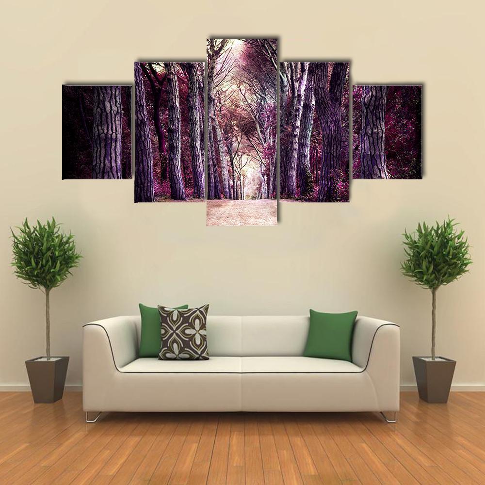 Path In Forest Somewhere In Magic Wood Canvas Wall Art-5 Star-Gallery Wrap-62" x 32"-Tiaracle